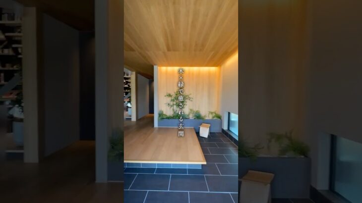 【間取り付きルームツアー】2025年7月OPEN！美しい暮らしが芽吹く木の家　#ジェルモ―リオ　#住友林業　#間取り