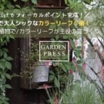 【ガーデニング】植えるだけでフォーカルポイント完成！大人シックなカラーリーフおすすめ５選｜銅葉・黒葉でオシャレな庭へ｜ガーデニング｜50代の庭｜ナチュラルガーデン