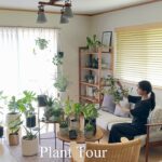 【Plant Tour】インテリアと観葉植物｜部屋をおしゃれに惹き立てるインテリアグリーン