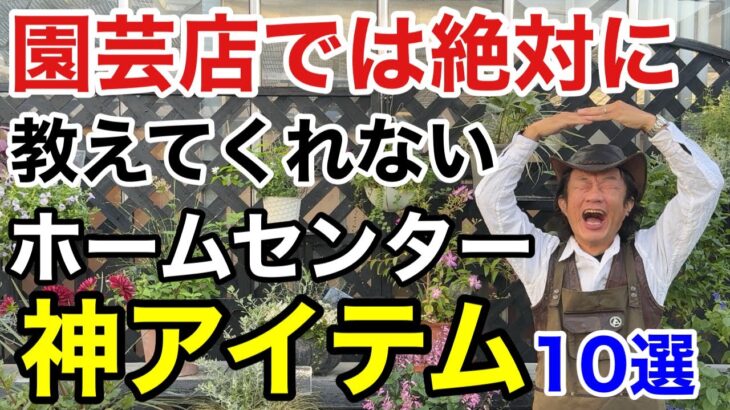 【盲点】コスパ最高でガーデニングにガンガン使える神アイテム教えます　　　　　【カーメン君】【園芸】【ガーデニング】【初心者】