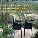 【ガーデニング】必ず植えたい！庭が一気におしゃれになる手間いらずで育つおすすめのカラーリーフ５選｜ガーデニング｜花が少ない季節に映える｜