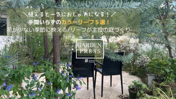 【ガーデニング】必ず植えたい！庭が一気におしゃれになる手間いらずで育つおすすめのカラーリーフ５選｜ガーデニング｜花が少ない季節に映える｜