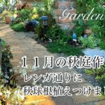 【ガーデニングVlog】１１月の秋庭作り／スノードロップ・アリウム他秋球根８種植えつけ／ナチュラルガーデン
