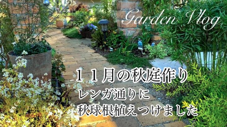 【ガーデニングVlog】１１月の秋庭作り／スノードロップ・アリウム他秋球根８種植えつけ／ナチュラルガーデン