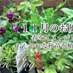 【ガーデニングVlog】１１月のお庭作り／おしゃれな秋苗をお迎えしました／華やかになった玄関前／ピンクアナベルと秋庭