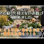 【ガーデニング】【冬のお庭づくり】ローズガーデンカネコさんとフラワーガーデン泉さんで激カワなパンジーをお迎え／プチマイガーデンツアー