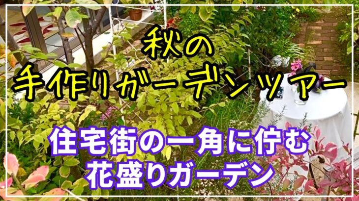 【宿根草と１年草の共演】レンガの小道や雑貨もあるよ。彩り豊かな秋のガーデンをご案内します。