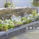 ガーデニング暮らし｜プロが選ぶ！冬の花壇作り。コスパ最強。無限に増える植物｜新しい庭木と古民家の家具
