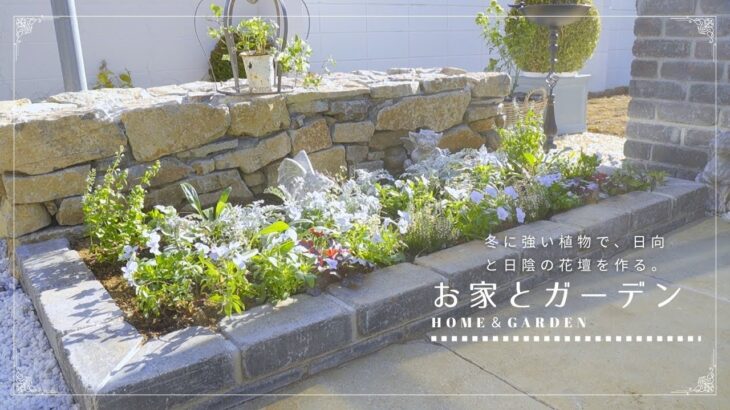 ガーデニング暮らし｜プロが選ぶ！冬の花壇作り。コスパ最強。無限に増える植物｜新しい庭木と古民家の家具