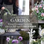 12月でも間に合う冬のコンテナガーデンづくり|あったかスープとクリスマスケーキでホットひと息