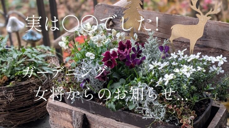 【2025.12月】実は〇〇でした!ガーデニング女将からのお知らせ。