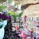 【ガーデニングVlog】１２月のお庭作り／秋庭から冬庭へ／すみれ図鑑他植えつけ／冬のレンガ通り