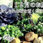 【ガーデニングVlog】１２月のお庭作り／新しく花壇作りました／工夫してよかったこと５選／アジュガ通り