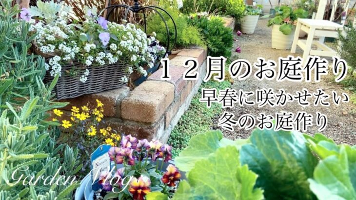【ガーデニング Vlog】１２月のお庭作り／冬の花壇作り／ラックスとアネモネ植えつけ／モンキージョージお迎え