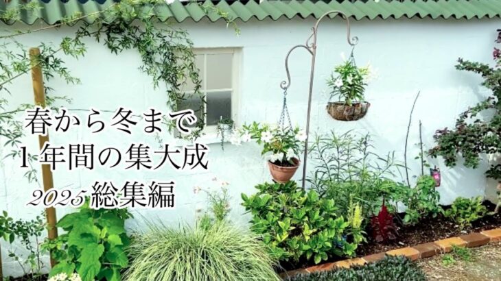 【ガーデニング Vlog】今年も大変お世話になりありがとうございました