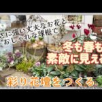 【ガーデニング】【冬のお庭づくり】可愛いお花で水場を明るく変身させる/寒さに強いお花と球根でおしゃれな花壇づくり