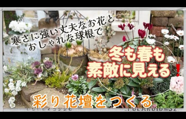 【ガーデニング】【冬のお庭づくり】可愛いお花で水場を明るく変身させる/寒さに強いお花と球根でおしゃれな花壇づくり