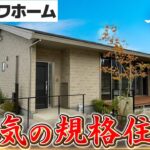 【ミサワホーム平屋】本気の規格住宅平屋をルームツアー/この仕様で規格住宅！？圧倒的な天井高にミサワホームならではのアイテムを駆使した検討しやすい平屋規格住宅#ミサワホーム#注文住宅#ルームツアー