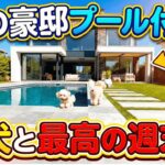 【ルームツアー】延床106坪の豪邸ルームツアー！45帖の大空間LDKとプール・ドッグラン完備の暮らし