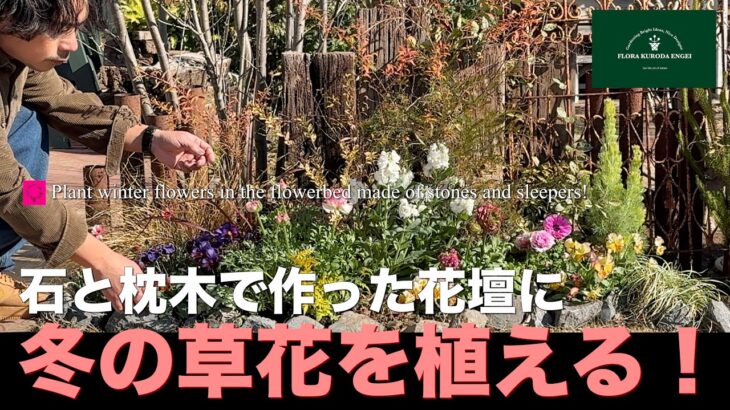 【冬の草花を植える！】石と枕木で作った花壇に！1/2「冬のガーデニング」-フローラ黒田園芸- #ガーデニング #園芸 #寄せ植え #花壇 #庭作業 #植え替え