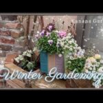 冬のガーデニング | お迎えした苗木2種♡ 2026年、今年もよろしくお願いします🎍