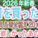 【ガーデニング】【爆買い】2026年初めての爆買いで何を買った⁉︎待ちに待ったあのお花をとうとうゲットしてきましたよ👍【冬の花】