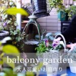 【冬のガーデニング】寄せ鉢と寄せ植えで作る大人可愛いお庭｜寄せ鉢のメリット3つ| 誰でもできるガーデンデコレーション