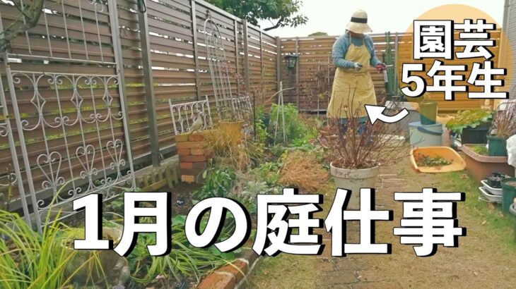 【ガーデニング】3年放ったらかしにしたクレマチスの末路｜紫陽花の植替え｜小さな庭