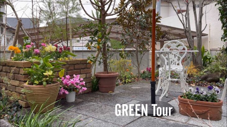 【個人邸】楽な姿勢でお世話ができるお洒落なレンガのレイズド花壇が素敵な小さいイングリッシュ庭園！樹木は剪定少なくて管理が楽なナチュラルスタイル！| K様邸 | 園芸/ガーデニング店巡り| 大阪