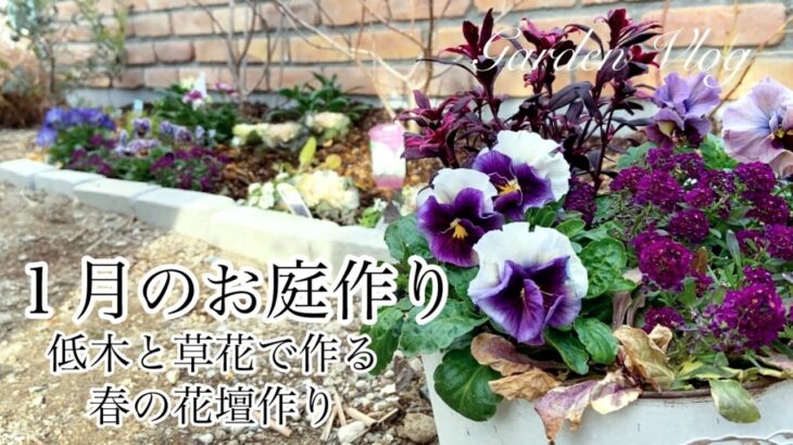 【ガーデニングVlog】１月のお庭作り／まだ間に合う新たな春花壇作り／DIYレンガ塀完成