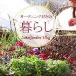 【ガーデニングと暮らしのVlog】冬の庭/クリスマスローズの開花・お正月の台所・庭で育てるキノコ・ガーデニング好きハンドメイド作家のアメリカ暮らし・LalaGarden Vlog