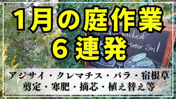 【１月のガーデニング】この時期に出来る様々な庭作業をまとめた動画です。