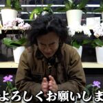 あけましておめでとうございます※大事なお知らせアリ【カーメン君】【園芸】【ガーデニング】