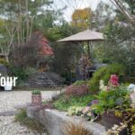 【個人邸】アンティークと和風庭園の見事な調合の秘訣は透かし剪定！昔ながらの和風庭園も今風なお庭になると管理も楽でお庭づくりがもっと楽しくなる！ |Ｏ様邸 | 園芸/ガーデニング店巡り| 大阪