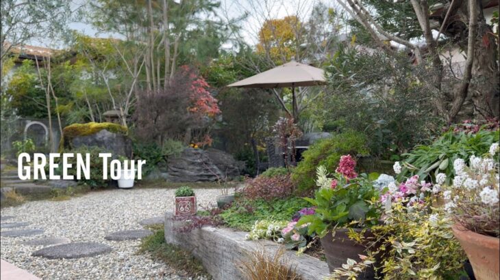 【個人邸】アンティークと和風庭園の見事な調合の秘訣は透かし剪定！昔ながらの和風庭園も今風なお庭になると管理も楽でお庭づくりがもっと楽しくなる！ |Ｏ様邸 | 園芸/ガーデニング店巡り| 大阪