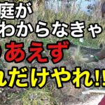 植物を植えてても植えてなくても今はこれだけはやっておいた方がいい　　　　【園芸】【ガーデニング】【初心者】
