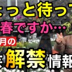 【年明け早々。。。】これが正直、園芸店のリアルです　【園芸】【ガーデニング】【初心者】