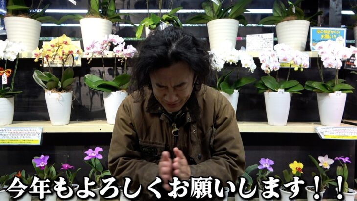 あけましておめでとうございます※大事なお知らせアリ【カーメン君】【園芸】【ガーデニング】