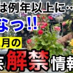 【売り切れごめん!!】寒くても2月中に買っておくべき植物教えます　　【園芸】【ガーデニング】【初心者】