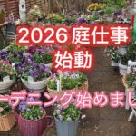 【2026ガーデニング始動です】冬が終わりました。ひろなガーデン始まります。