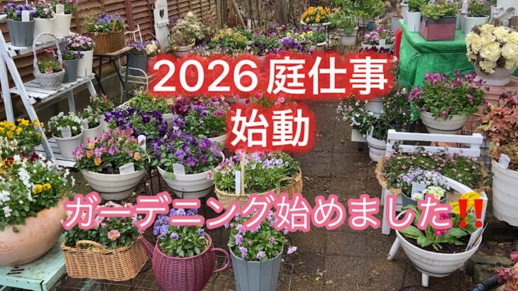 【2026ガーデニング始動です】冬が終わりました。ひろなガーデン始まります。