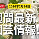 【最新情報】2月24日グリーンギャラリーガーデンズ入荷情報を一挙公開!