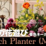 【2月の花遊び！】春色ネールピンクのベンチプランターMini「冬のガーデニング」-フローラ黒田園芸- #ガーデニング #園芸 #寄せ植え