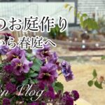 【ガーデニングVlog】２月のお庭作り／冬花壇を春らしくお手入れ／あじさいと沈丁花の花壇作り／ビオラ切り戻し／3つの春庭仕事