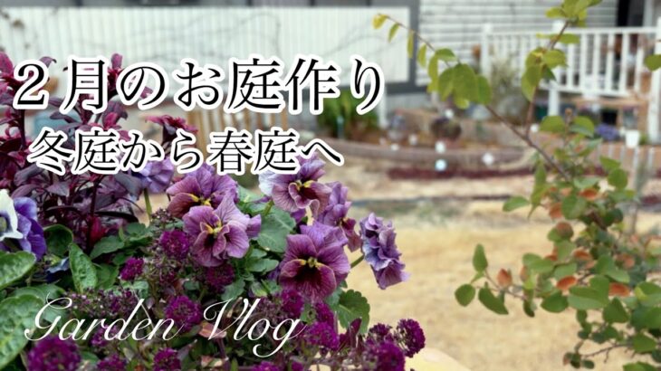 【ガーデニングVlog】２月のお庭作り／冬花壇を春らしくお手入れ／あじさいと沈丁花の花壇作り／ビオラ切り戻し／3つの春庭仕事