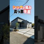 【平屋ルームツアー】シックの極み！真っ黒でカッコよすぎる平屋！#shorts