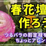 【春花壇作り】１４株の花苗とつるバラの剪定枝と丸太でアレンジした春花壇を作る動画です。