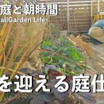 【ガーデニング】サボりにサボりまくった小さな庭…春を迎える準備に追われる園芸５年生