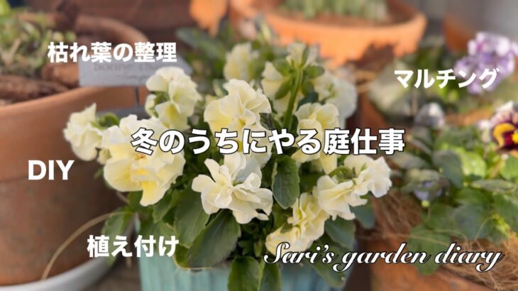 【ガーデニング】忙しくない今できる庭仕事/苗の植え付け/宿根草などのお手入れ