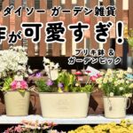 これがダイソー…！？2026新作ガーデン雑貨で春の寄せ植え｜ブリキ鉢＆ガーデンピック｜園芸用品｜ガーデニング｜購入品紹介